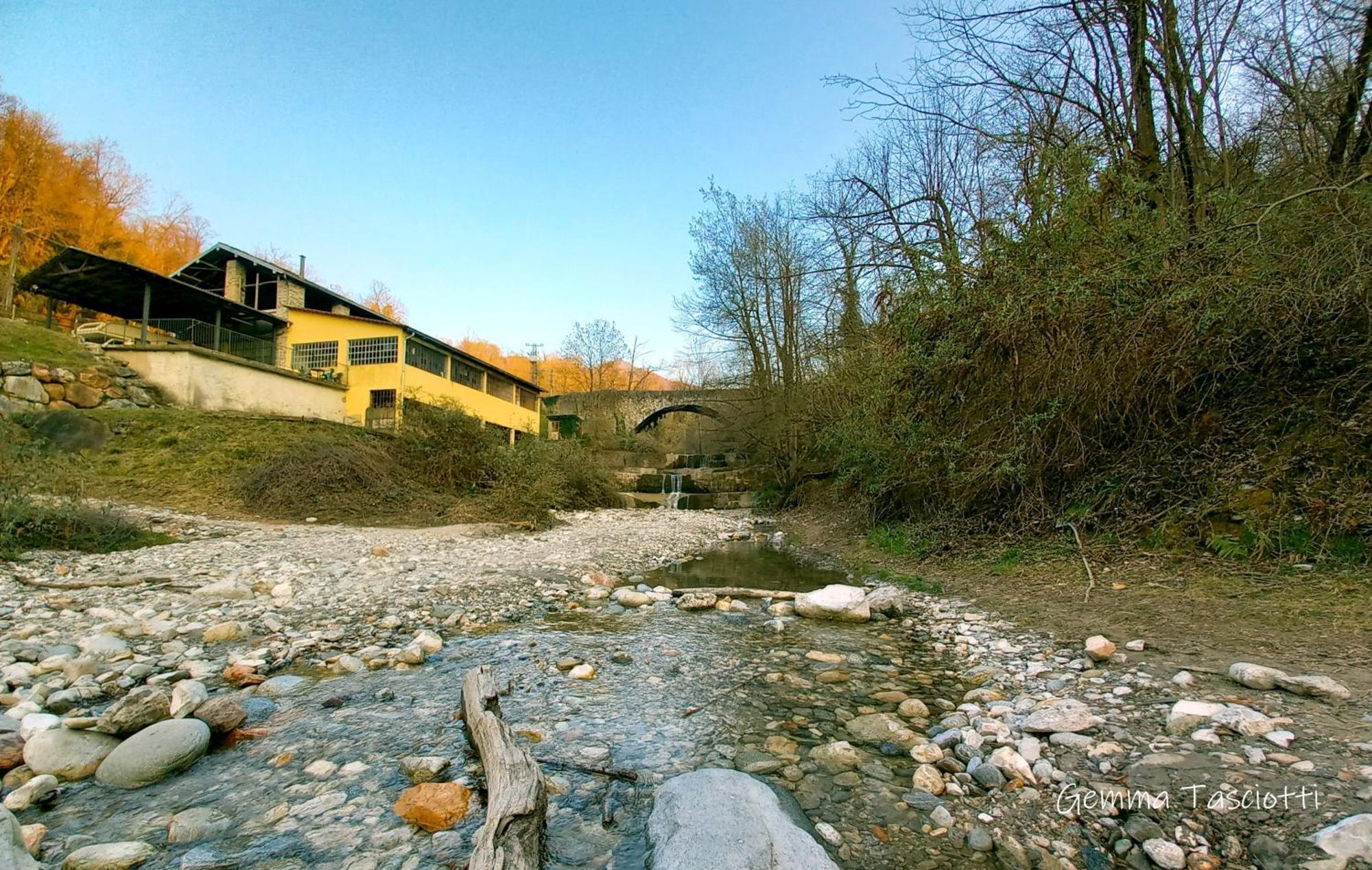 Natura Tra Bosco E Lago Castelveccana Esterno foto